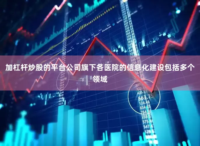 加杠杆炒股的平台公司旗下各医院的信息化建设包括多个领域