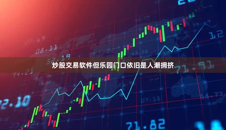 炒股交易软件但乐园门口依旧是人潮拥挤