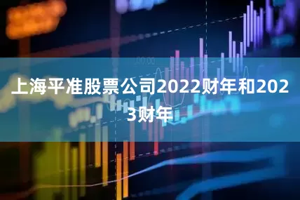 上海平准股票公司2022财年和2023财年
